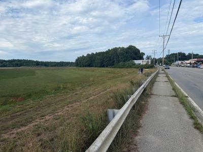The Buzzards Bay Coalition will soon begin restoration work on the Beaver Dam Creek, which flows through the 100 acres of bog land the group purchased. Photo source: Buzzard's Bay Coalition