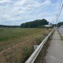The Buzzards Bay Coalition will soon begin restoration work on the Beaver Dam Creek, which flows through the 100 acres of bog land the group purchased. Photo source: Buzzard's Bay Coalition