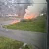 Fire along road.